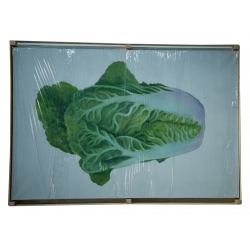 Kovylina Elena Chinese cabbage. From a series of "carrots of culture" size 6