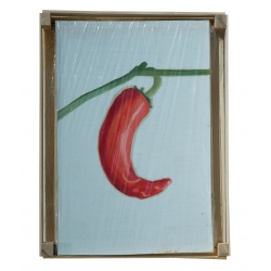 Kovylina Elena Pepper 1. From a series of "carrots of culture" size 4